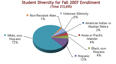 Fall 2007 Diversity