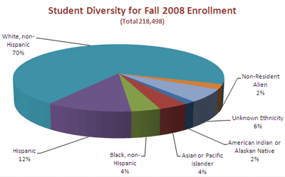 Fall 2007 Diversity