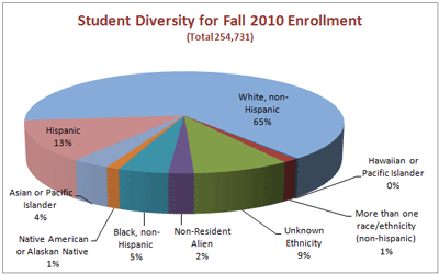 Fall 2010 Diversity
